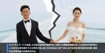起诉娱乐吃瓜的案件,揭秘网络舆论背后的法律纷争
